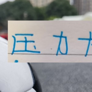 开云体育入口-申花今年压力大！只字没提成绩目标 核心后卫蒋圣龙也没有消息|上海申花|中后卫|蒋光太|上海申花足球俱乐部|杨帅_新浪体育_新浪新闻