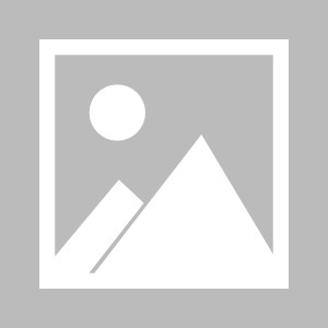 开云体育入口-罗体：阿隆索认为门将发挥不稳定，切尔西5000万报价斯维拉尔被拒